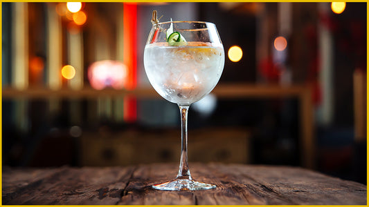 Disfruta de un fresco gin tonic!