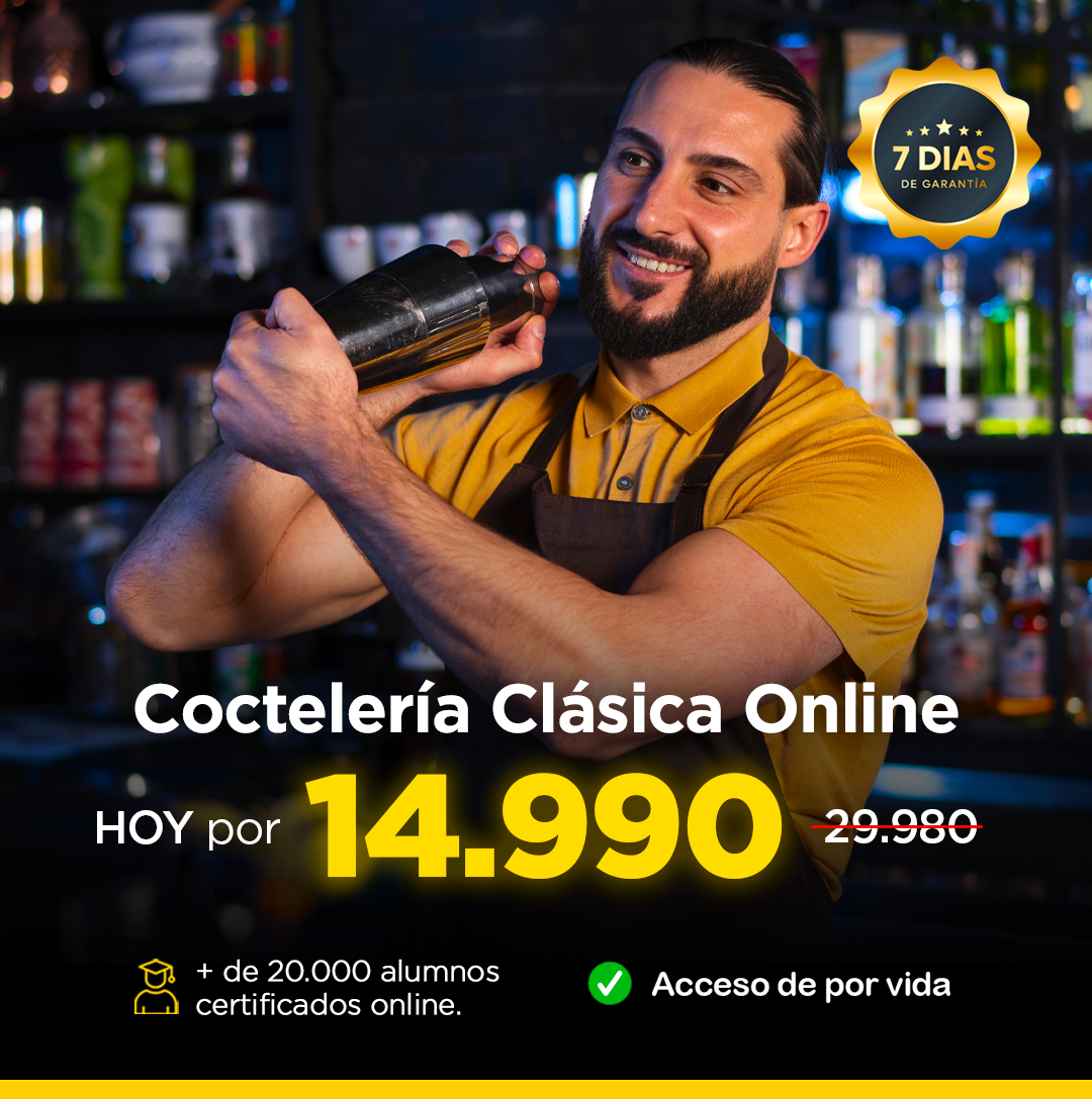 CURSO COCTELERÍA CLÁSICA ONLINE