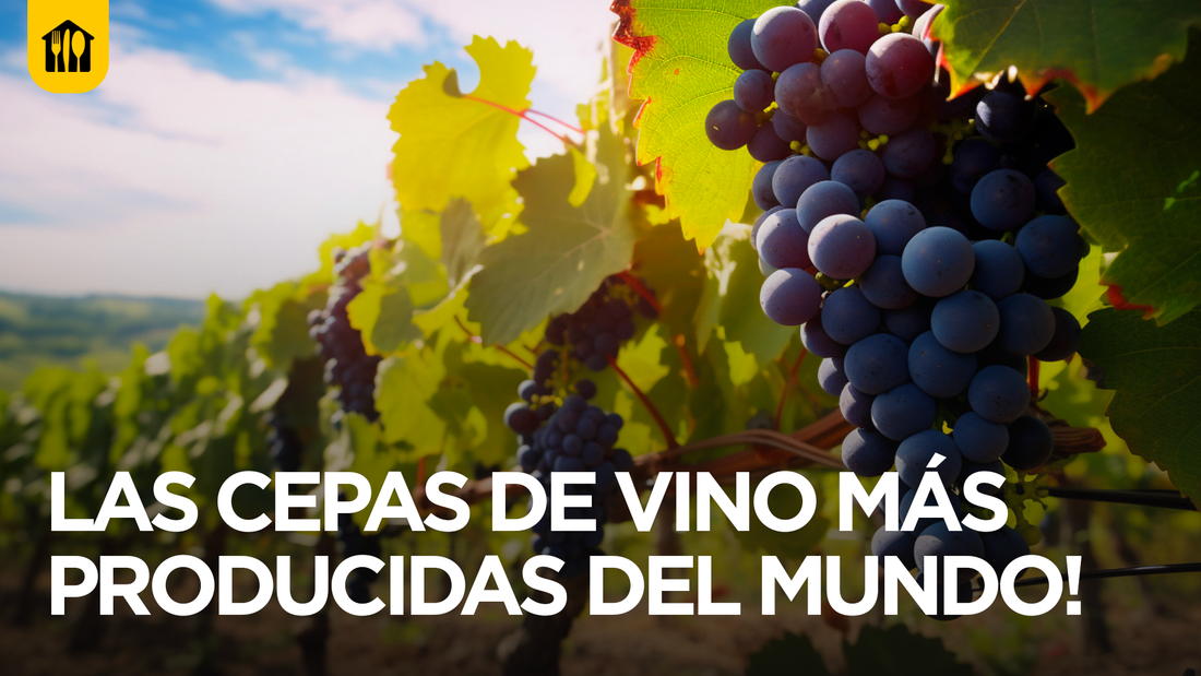 Las cepas de vino más producidas del Mundo! 🍇