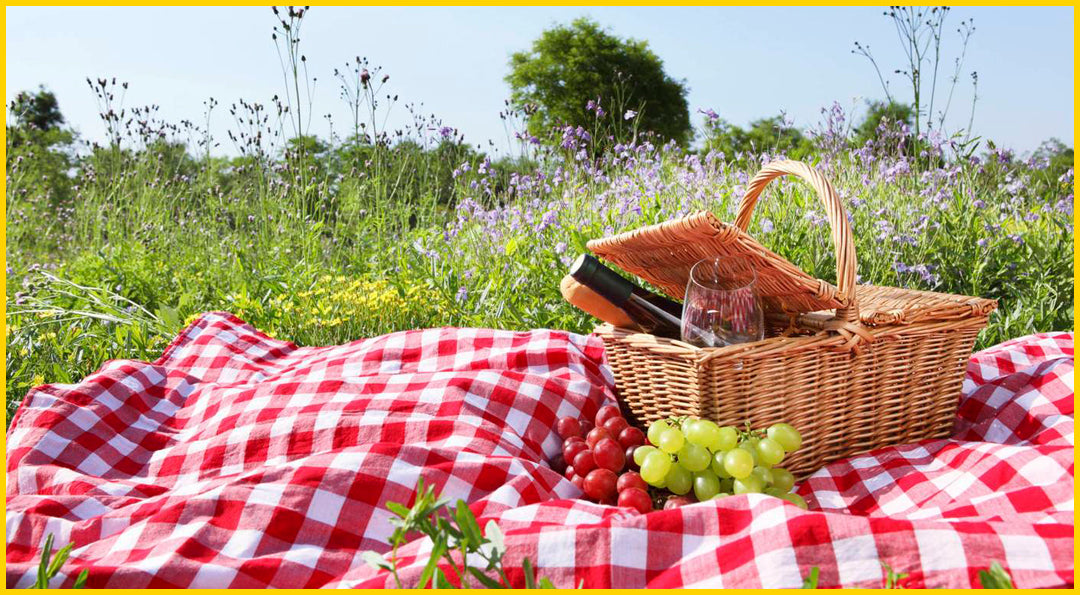 TIPS PARA UN PICNIC INOLVIDABLE