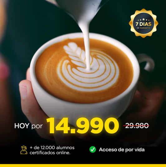 CURSO BARISTA TRAINING ONLINE